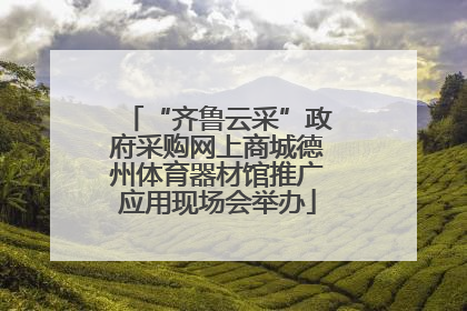 “齐鲁云采”政府采购网上商城德州体育器材馆推广应用现场会举办