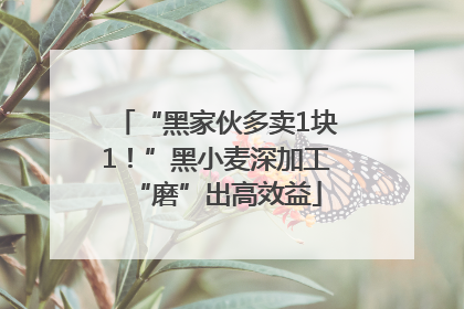 “黑家伙多卖1块1！”黑小麦深加工“磨”出高效益
