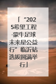 “2025希望工程·蒙牛足球未来星公益行”临沂站选拔圆满举行