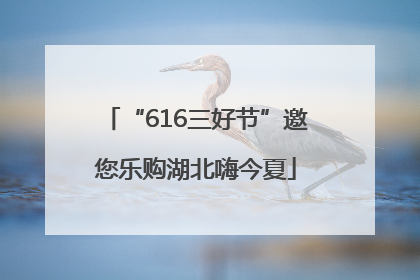 “616三好节”邀您乐购湖北嗨今夏