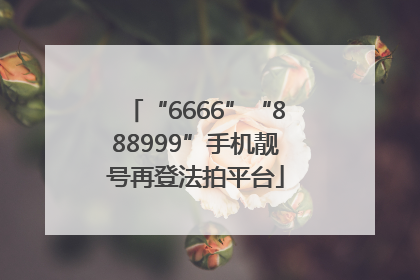 “6666”“888999”手机靓号再登法拍平台
