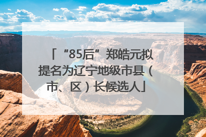“85后”郑皓元拟提名为辽宁地级市县（市、区）长候选人