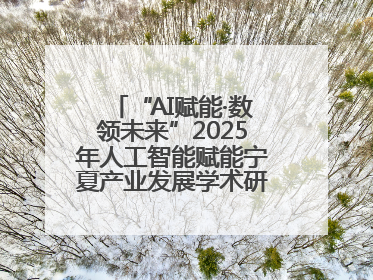 “AI赋能·数领未来”2025年人工智能赋能宁夏产业发展学术研讨会在银川举办