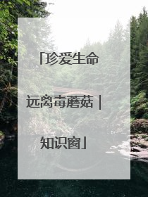 珍爱生命 远离毒蘑菇｜知识窗
