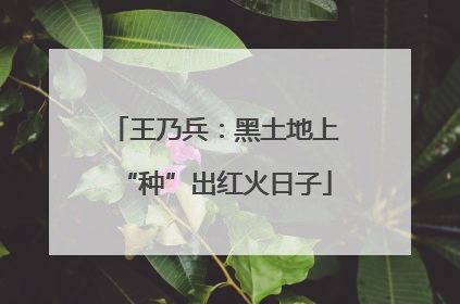 王乃兵：黑土地上“种”出红火日子