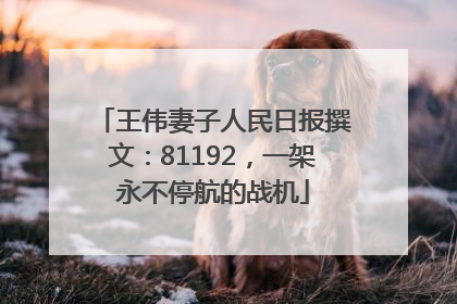 王伟妻子人民日报撰文：81192，一架永不停航的战机