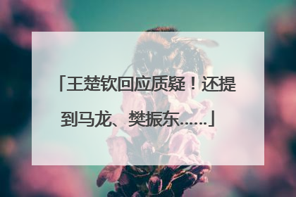 王楚钦回应质疑！还提到马龙、樊振东……