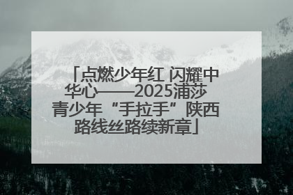 点燃少年红 闪耀中华心——2025浦莎青少年“手拉手”陕西路线丝路续新章