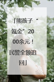 熊孩子“氪金”2000余元！民警全额追回
