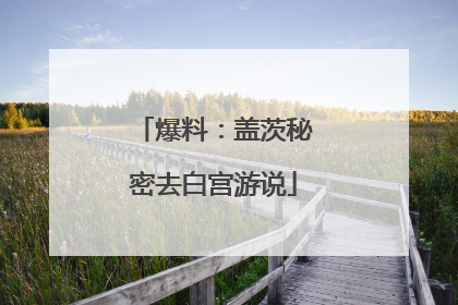 爆料：盖茨秘密去白宫游说
