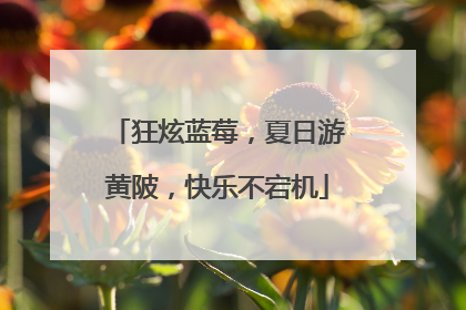 狂炫蓝莓，夏日游黄陂，快乐不宕机