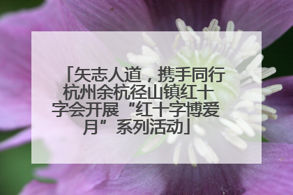 矢志人道，携手同行 杭州余杭径山镇红十字会开展“红十字博爱月”系列活动