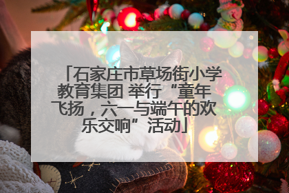 石家庄市草场街小学教育集团 举行“童年飞扬，六一与端午的欢乐交响”活动