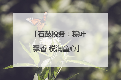 石鼓税务：粽叶飘香 税润童心