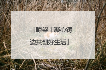 瞭望丨凝心铸边共创好生活