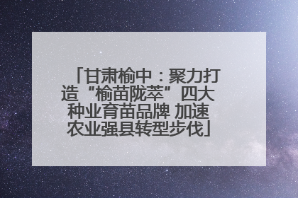 甘肃榆中：聚力打造“榆苗陇萃”四大种业育苗品牌 加速农业强县转型步伐