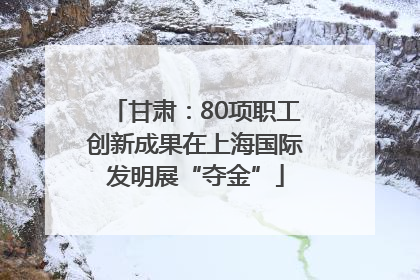 甘肃：80项职工创新成果在上海国际发明展“夺金”