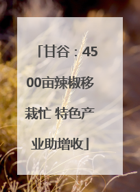 甘谷：4500亩辣椒移栽忙 特色产业助增收