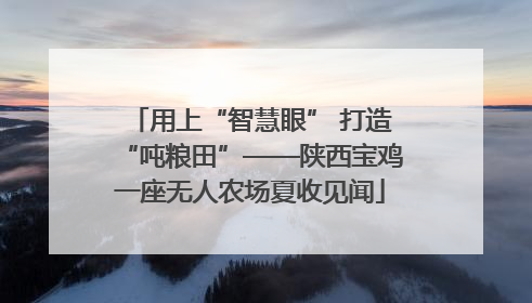 用上“智慧眼” 打造“吨粮田”——陕西宝鸡一座无人农场夏收见闻