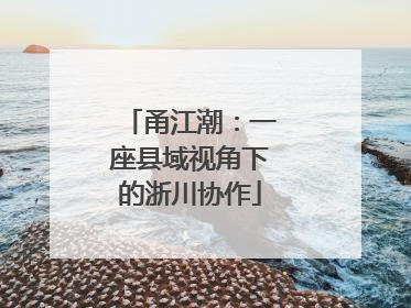 甬江潮：一座县域视角下的浙川协作