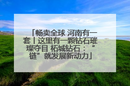 畅卖全球 河南有一套丨这里有一颗钻石璀璨夺目 柘城钻石：“链”就发展新动力