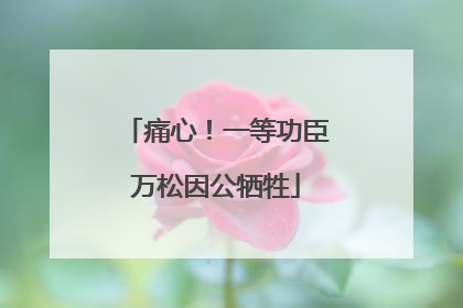 痛心！一等功臣万松因公牺牲