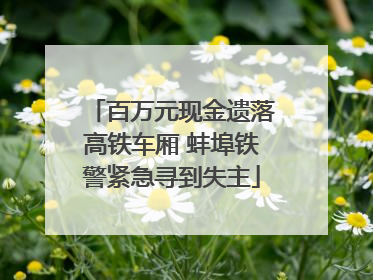 百万元现金遗落高铁车厢 蚌埠铁警紧急寻到失主