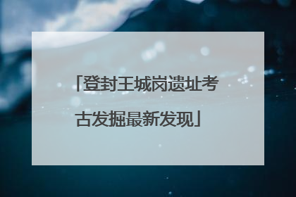 登封王城岗遗址考古发掘最新发现