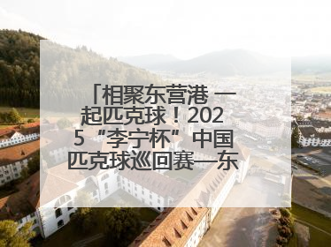相聚东营港 一起匹克球！2025“李宁杯”中国匹克球巡回赛—东营站（CPC—1000）暨“好运山东”黄河口匹克球公开赛落幕