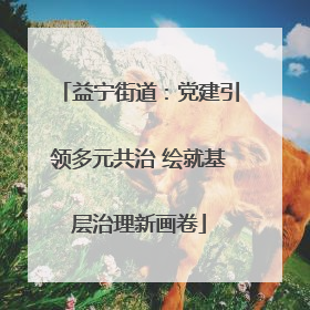 益宁街道：党建引领多元共治 绘就基层治理新画卷