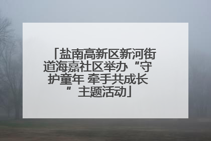 盐南高新区新河街道海嘉社区举办“守护童年 牵手共成长”主题活动