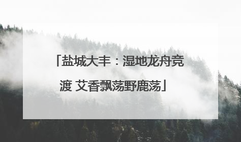 盐城大丰：湿地龙舟竞渡 艾香飘荡野鹿荡