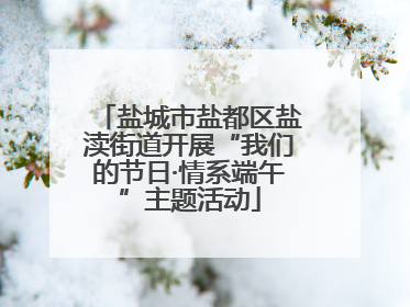 盐城市盐都区盐渎街道开展“我们的节日·情系端午”主题活动