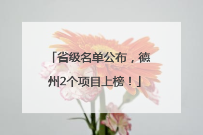 省级名单公布，德州2个项目上榜！