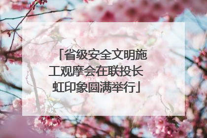 省级安全文明施工观摩会在联投长虹印象圆满举行