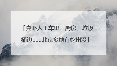 真吓人！车里、厨房、垃圾桶边……北京多地有蛇出没