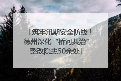筑牢汛期安全防线！德州深化“桥河共治”整改隐患50余处