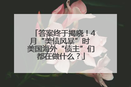 答案终于揭晓！4月“美债风暴”时 美国海外“债主”们都在做什么？
