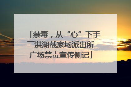 禁毒，从“心”下手――洪湖戴家场派出所广场禁毒宣传侧记
