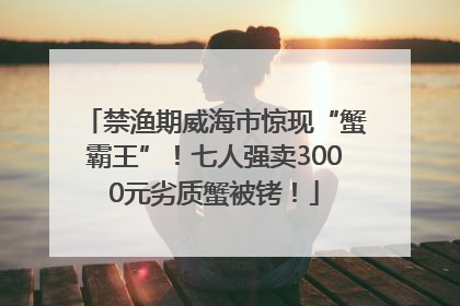 禁渔期威海市惊现“蟹霸王”！七人强卖3000元劣质蟹被铐！