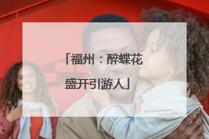 福州：醉蝶花盛开引游人