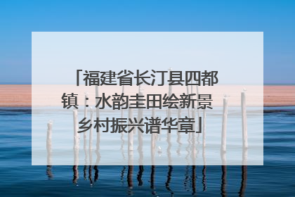 福建省长汀县四都镇：水韵圭田绘新景 乡村振兴谱华章