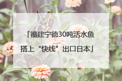 福建宁德30吨活水鱼搭上“快线”出口日本