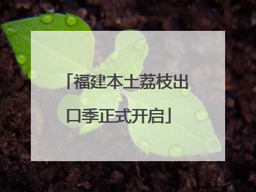 福建本土荔枝出口季正式开启