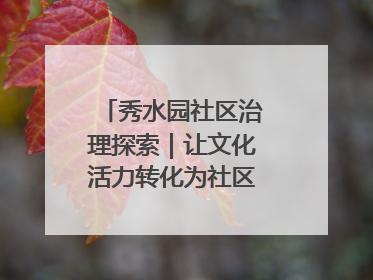 秀水园社区治理探索｜让文化活力转化为社区治理动力