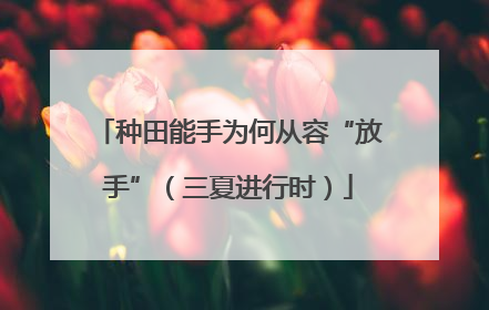 种田能手为何从容“放手”（三夏进行时）