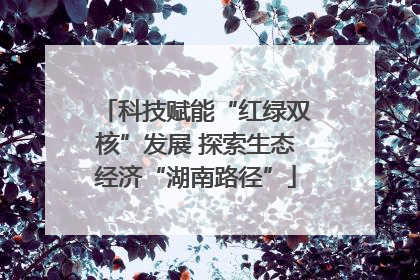 科技赋能“红绿双核”发展 探索生态经济“湖南路径”