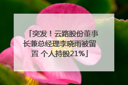 突发！云路股份董事长兼总经理李晓雨被留置 个人持股21%