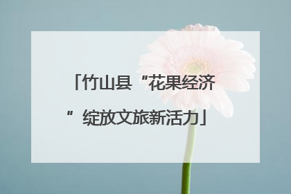 竹山县“花果经济”绽放文旅新活力