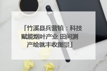 竹溪县兵营镇：科技赋能烟叶产业 田间测产绘就丰收图景